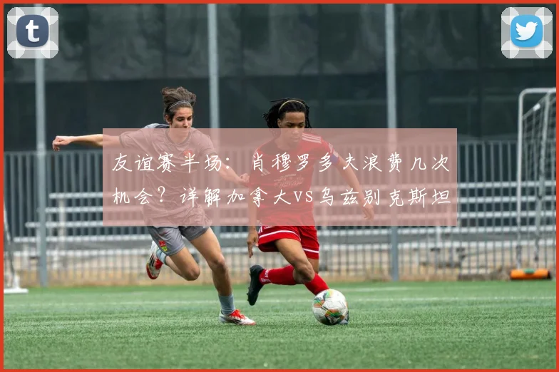 友谊赛半场:肖穆罗多夫浪费几次机会?详解加拿大vs乌兹别克斯坦2026年赛况及球员点评