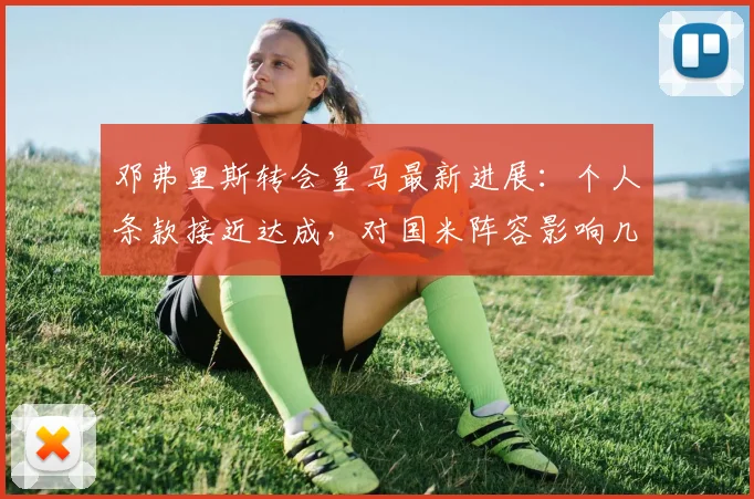 邓弗里斯转会皇马最新进展:个人条款接近达成,对国米阵容影响几何?(附2026赛季展望)